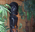 historic Tonga Room